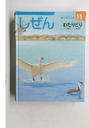 しぜん　１１