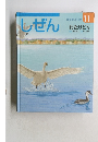 しぜん　１１