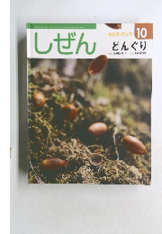 しぜん  キンダーブック  10  どんぐり
