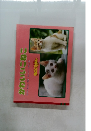 かわいいこねこ