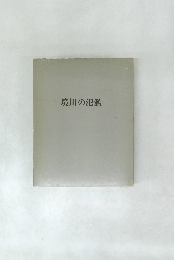 境川の氾濫