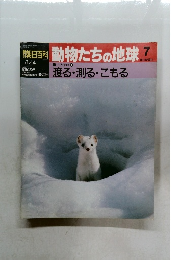 朝日百科　動物たちの地球　7
