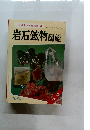 岩石鉱物図鑑