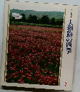 大和路の四季　7