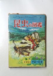 昆虫の図鑑