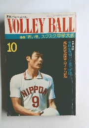 バレーボール10