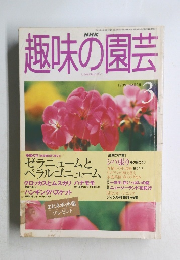 趣味の園芸　1999年3月号