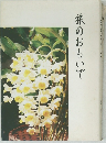 旅のおもいで