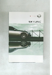SKYLINE