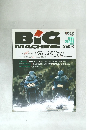 ビッグマシン　BiG　MACHINE　1995－春　No.3