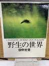 野生の世界