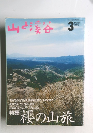 山と渓谷　1993年3月号