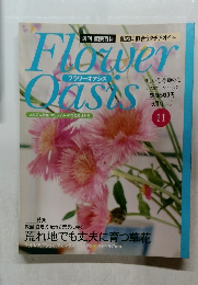 フラワーオアシス　11　6/1号