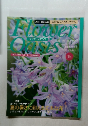 Flower　Oasis　１６号