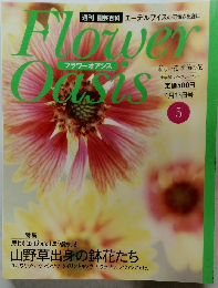 Flower Oasis 5号 4/13号