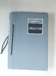 行政訴訟の実務 
