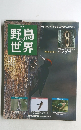 野鳥の世界　No.117