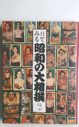 目でみる昭和の大相撲(下）