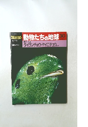 朝日百科　動物たちの地球30　 タイランチョウ・ヤイロチョウ