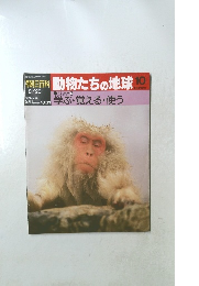 朝日百科　動物たちの地球　10