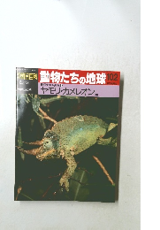 動物たちの地球 102　ヤモリ・カメレオン