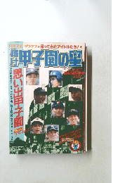 輝け甲子園の星　1982　Vol3