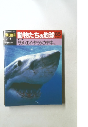 朝日百科 動物たちの地球 85