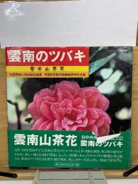 雲南のツバキ　雲南山茶花