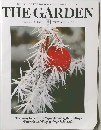 THE GARDEN 