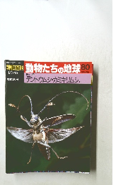 春朝日百科 動物たちの地球 80