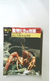 朝日百科　動物たちの地球　60