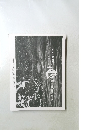 OBUKURO LIVE TOUR 2017 心 KOBUKURO ZINE
