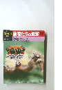 朝日百科 動物たちの地球 82