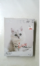 ねこのきもち　2020年12月