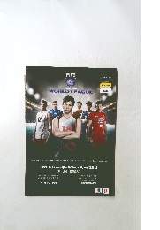 FIVB男子バレーボールワールドリーグ2013