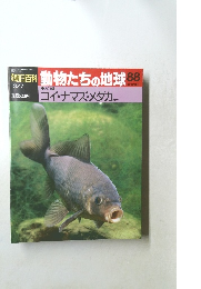 朝日百科 動物たちの地球 88