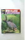 朝日百科 動物たちの地球 88