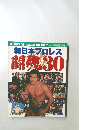 新日本プロレス開発 30