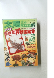 太陽 the sun NO.244
