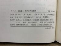 世界宗教史叢書