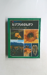 科学のアルバム  ヒマワリのかんさつ