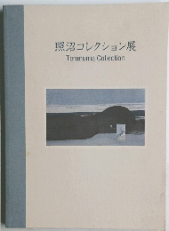 照沼コレクション展 Terunuma Collection