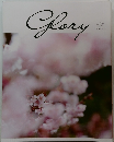 Glory　2022年3月号