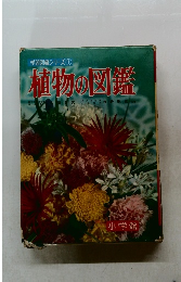 学習図鑑シリーズ①  植物の図鑑