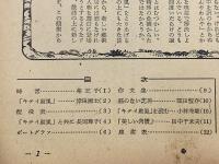 毎日マンスリー　第19集