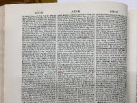 A LATIN DICTIONARY LEWIS AND SHORT
