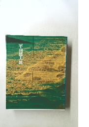 平山郁夫展　