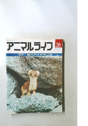 アニマルライフ　28