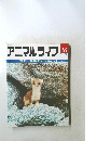 アニマルライフ　28