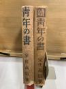 青年の書　正続